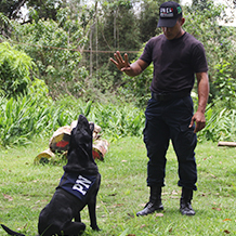UNES inicia inscripciones para formar “Operadores Caninos”